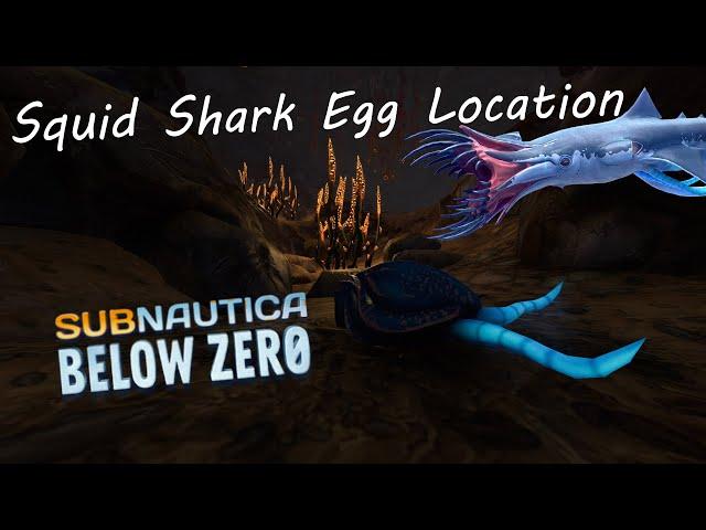 Squid Shark Egg Location.  Subnautica: Below Zero