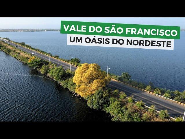 VALE DO RIO SÃO FRANCISCO: Uma viagem pelo Velho Chico!