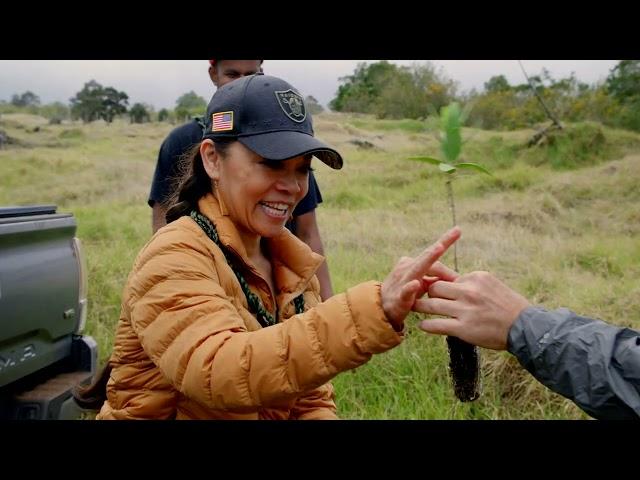 'Iliahi (Hawaiian Sandalwood) Essential Oil From Beautiful Hawaii | Behind The Bottle