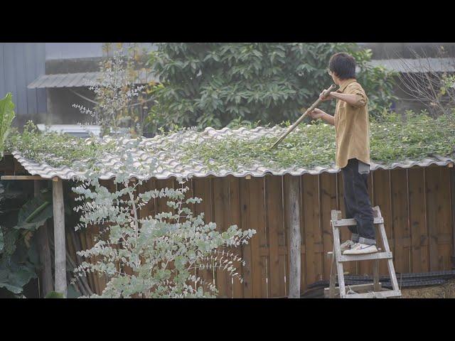 #CountrysideLife 29 | Renovating The Tool Room In The Yard | 滿叔的院子Aman‘s Simple Life