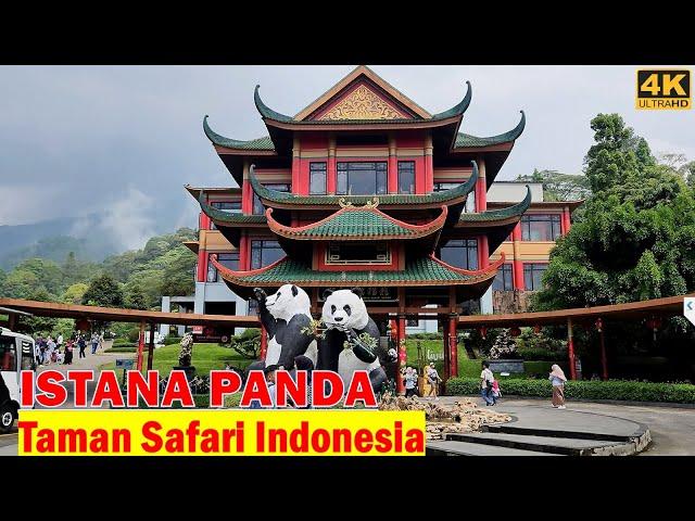 Walking keliling ISTANA PANDA‼️ Taman Safari Indonesia - Cisarua - Bogor - Indonesia [Giant Panda]