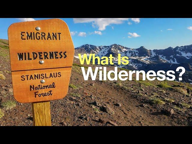 What is a Wilderness Area?