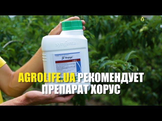 Хорус- Эффективная борьба с заболеваниями растений | Agrolife.ua рекомендует