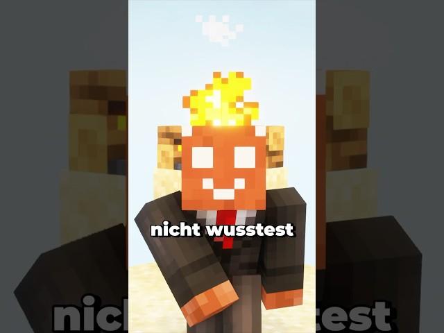 Fakten über das Minecraft Lagerfeuer die du nicht wusstest…?! #minecraft #minecraftshorts #maggus