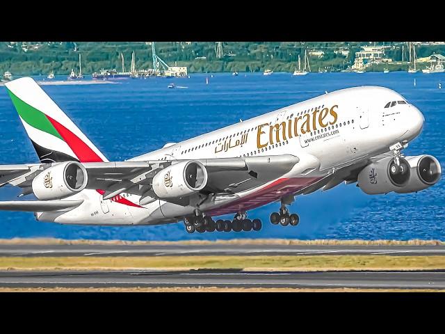 250 AIRCRAFT TAKEOFFS & LANDINGS in 3 HOURS, Aircraft Identification Sydney Airport Plane Spotting