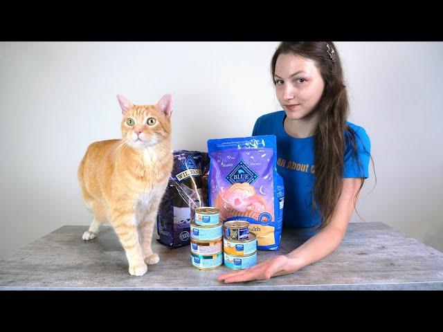 Blue Buffalo Cat Food Review