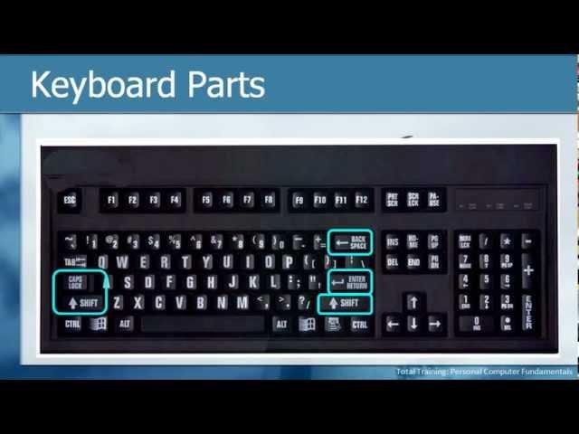 Master the Keyboard & Mouse Like a Pro! Computer Fundamentals: Keyboard & Mouse Mastery