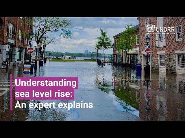 Understanding sea level rise: An expert explains | UNDRR