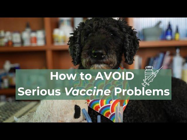 A Common Sense approach to vaccinating your dogs and cats