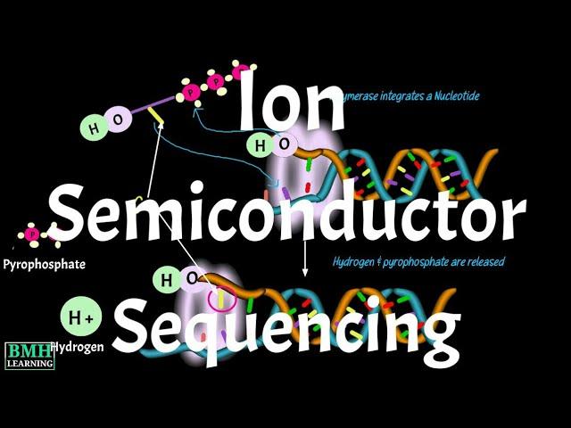 Ion Semiconductor Sequencing | Ion Torrent Sequencing | Ion Torrent Next Generation Sequencing |