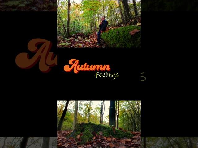 Autumn Feelings | DJI OSMO POCKET 3 #djiosmopocket3