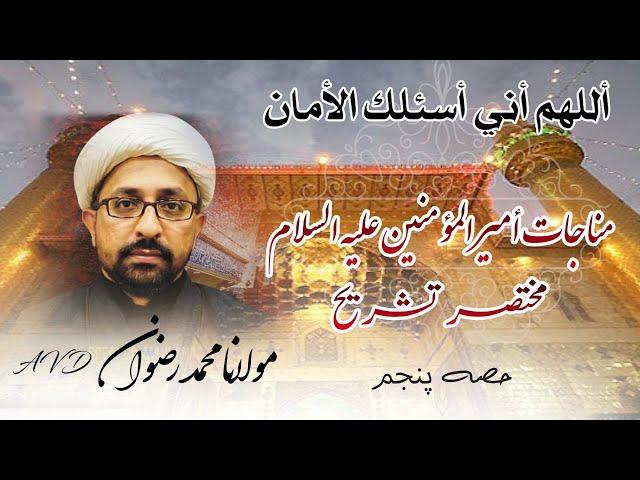 MAULANA MUHAMMAD RIZWAN AVD | MUNAJAAT E AMEER UL MOMINEEN (A.S) | CLIP 05 | BURRAK ORGANIZATION