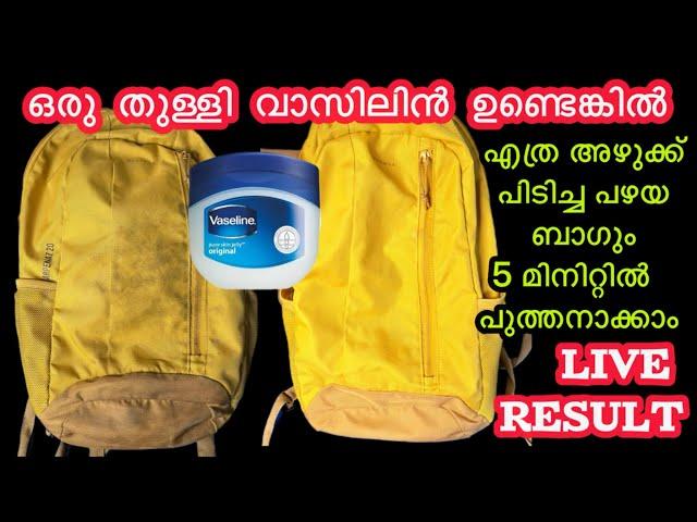 പഴയ ബാഗ് പുത്തനാക്കാം|ഇതറിഞ്ഞാൽ ഇനി ആരും പുതിയ ബാഗ് വാങ്ങില്ല|Bag cleaning