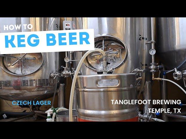 How To Keg Czech Lager In A Small Brewery