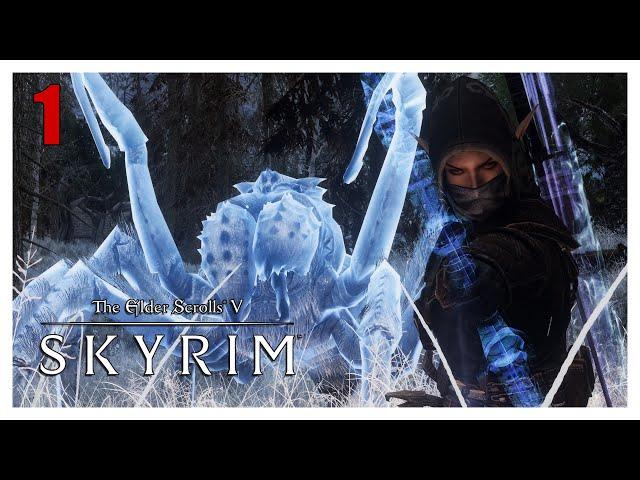 Blight Shaman Ep1: Skyrim - Requiem 3bfTweaks - Livestream