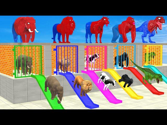 Long Slide Game With Elephant Cow Lion Gorilla 3d Animal Game Funny 3d Animals Cage Game