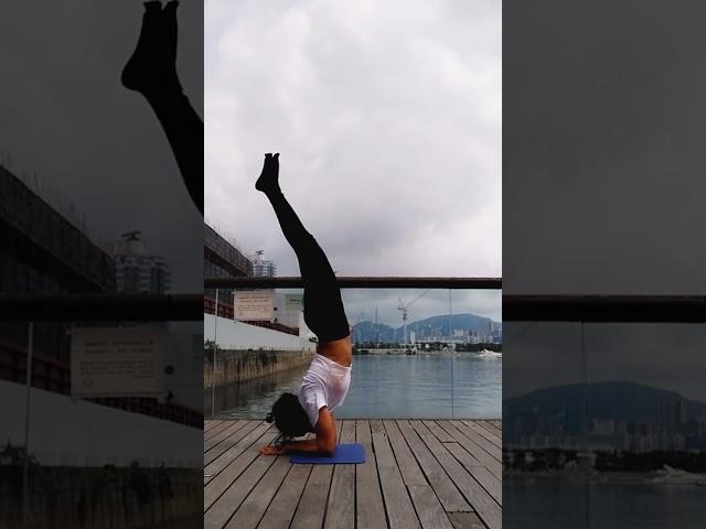 picha #yoga #challenge #shortsyoutube #yogalife #yogaday