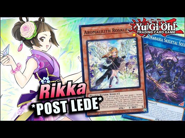 YU-GI-OH! *NEW* RIKKA SUNAVALON DECK PROFILE! LEGACY OF DESTRUCTION 2024