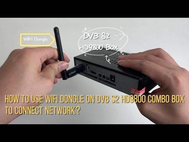 DVB S2 HD9800 Box | How to Connect WIFI by USB Dongle?