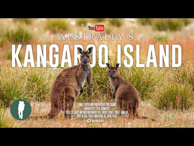 Australia Wildlife Documentary 4K | Kangaroo Island