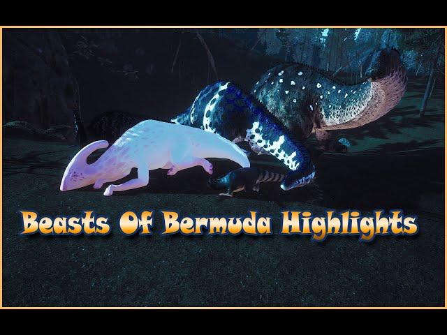 Beasts Of Bermuda - Stream Highlights 02/23/2020