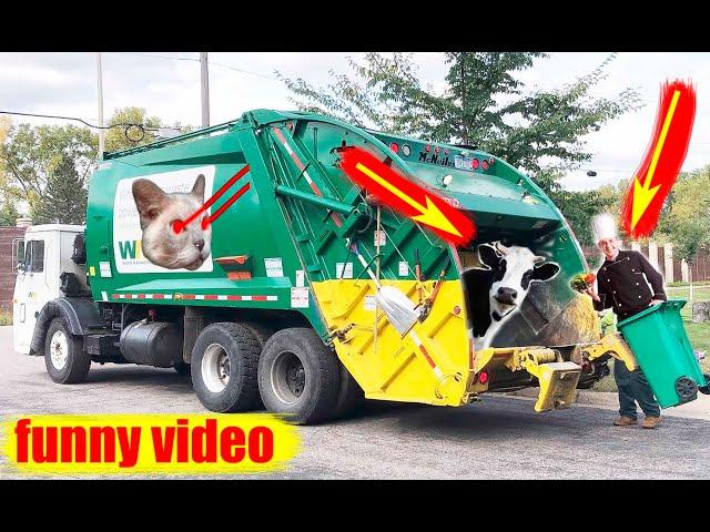 Funny video. Funny Garbage truck go to dump. How a cow turns into a funny garbage truck.