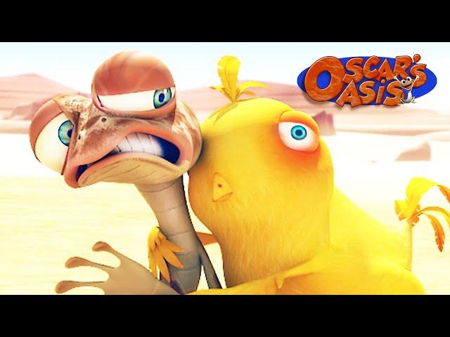 Oscar Has a New Baby Chicken Friend?! | Oscar’s Oasis | Funny Cartoons for Kids