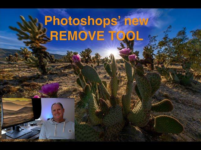 Photoshop's REMOVE TOOL