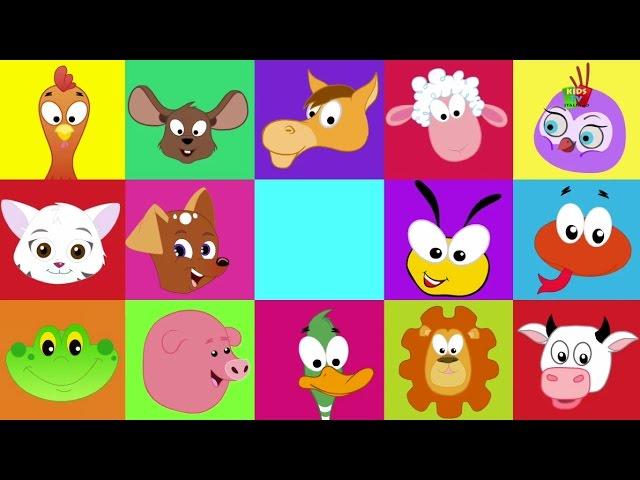 il suono degli animali canzone | Canzone Animale | Animal Sound Song | Kids Song