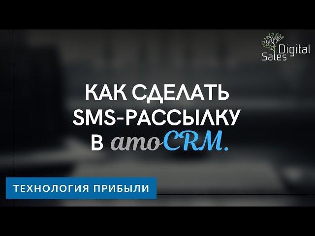 Как сделать SMS рассылку в AmoCRM