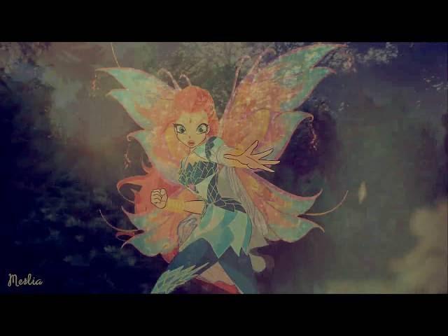 ℬʟooм& Winx club // we are the 's