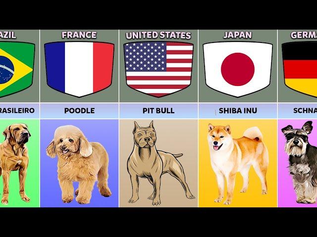 Dog Breeds From Different Countries