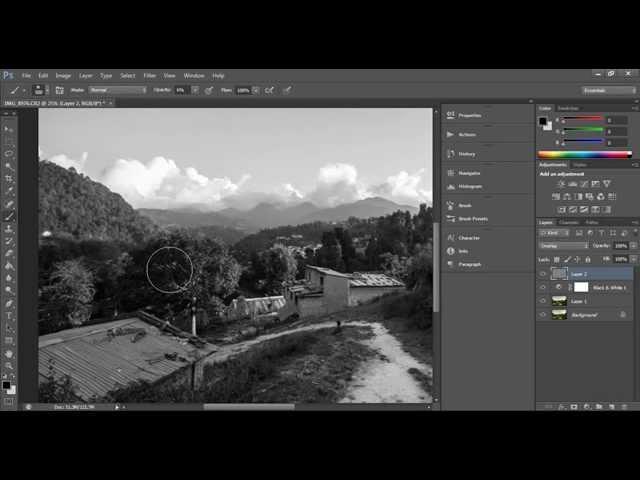 Converting Photographs To Black & White + Special trick!