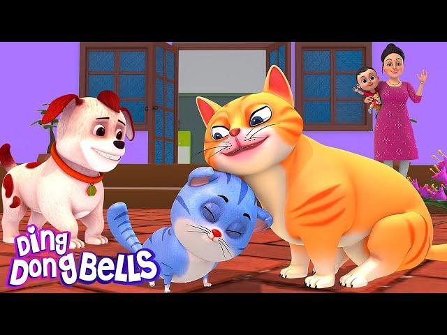 म्याऊं म्याऊं बिल्ली करती  | Meow Meow Billi Karti v5 | Hindi Rhymes for Children | Ding Dong Bells