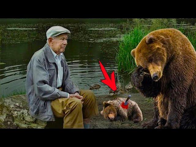 The crying bear brought the dying bear cub to the fisherman. Seconds were counting!