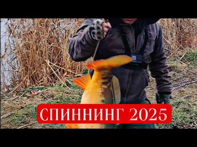 ТРОФЕЙНАЯ РЫБА на СПИННИНГ ЯНВАРЬ 2025_BIG-FISH #fishing #carpfishing #рыбалка2025