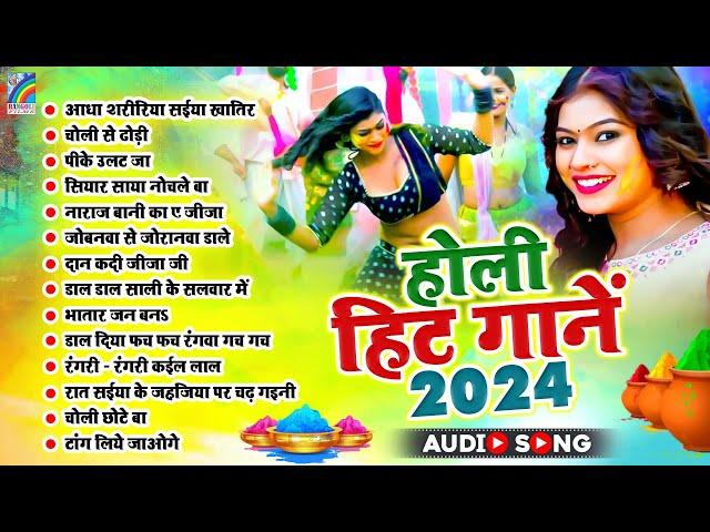 2024 का ब्लास्ट भोजपुरी होली गीत | Top 14 Holi song 2024 | Nonstop Holi song | bhojpuri Holi song