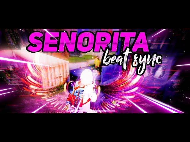 BGMI BEST EDITED MONTAGE | SENORITA