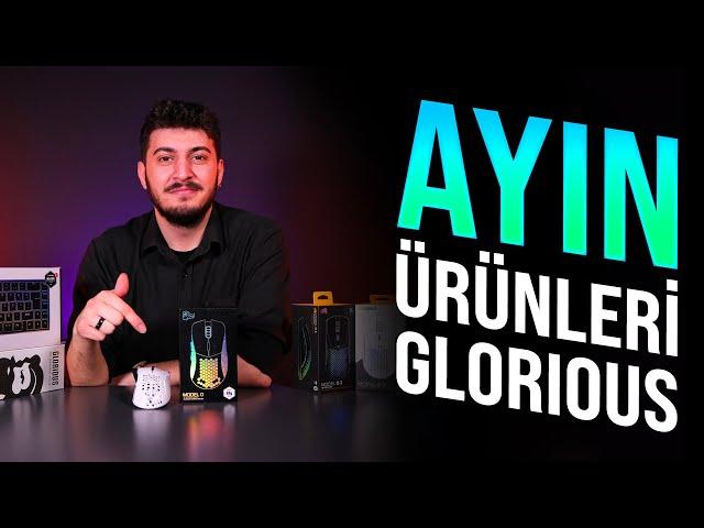 ITOPYA.COM'DA AYIN ÜRÜNLERİ | İPEKSİ HASSASİYET GECİKMESİZ BAĞLANTI GLORIOUS MODEL D WIRESLESS MOUSE