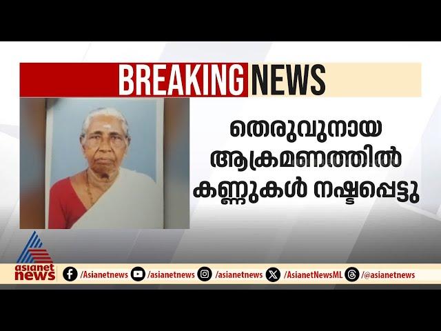 അന്ത്യമില്ലാത്ത തെരുവുനായ ആക്രമണം; വയോധികയ്ക്ക് ദാരുണാന്ത്യം | Stray Dog Attack