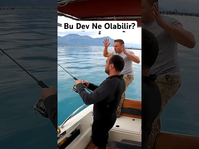 Oltaları Kırıp Giden Bu Balık Ne? #shorts #fishing #balıkavı