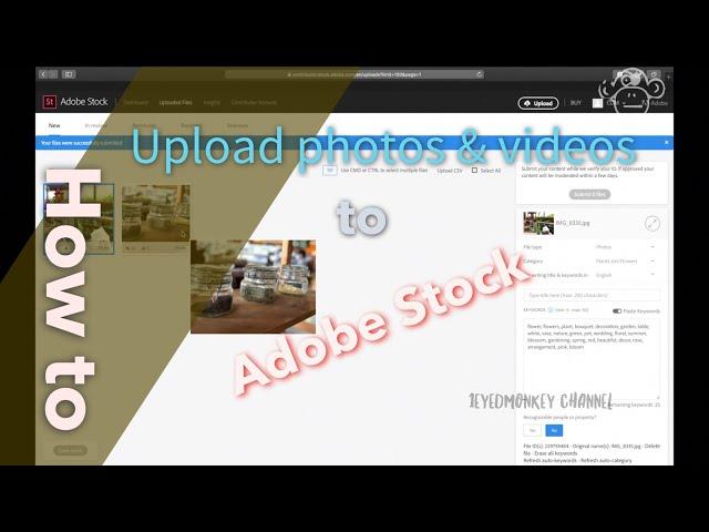 How to upload photos and videos to Adobe Stock