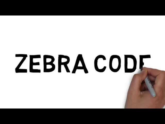 zebra code - learn full stack web development