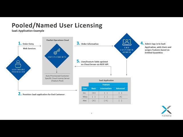 Flexera SaaS Monetization