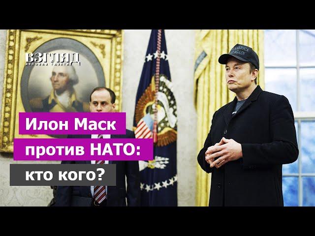 У НАТО новые проблемы. Трамп и Маск против атлантизма. «Пережиток холодной войны» и будущее альянса