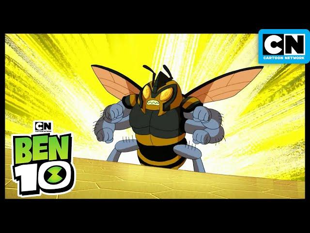 Ben Fights A Huge Bee! | Ben 10 | Cartoon Network