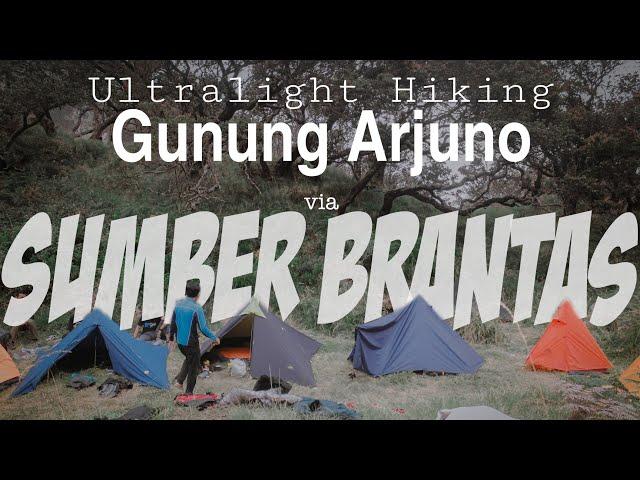 Pendakian Gunung Arjuno Via Sumber Brantas Ultralight Hiking