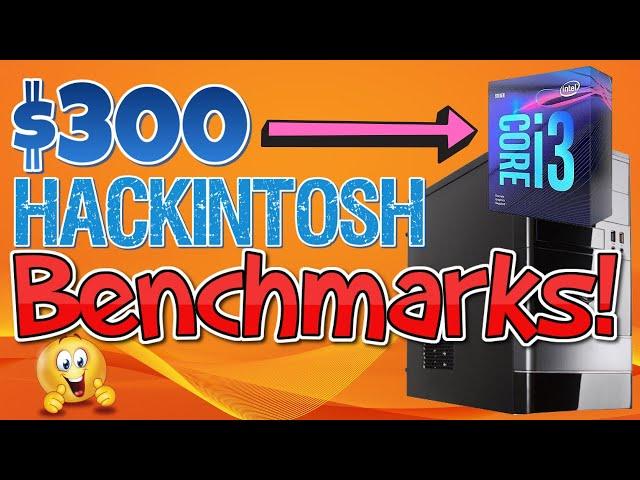 $300 Budget Intel i3-9100 Hackintosh Benchmarks | 2020