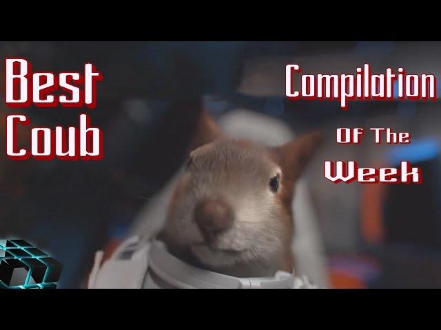 Best Coub Compilation of The Week