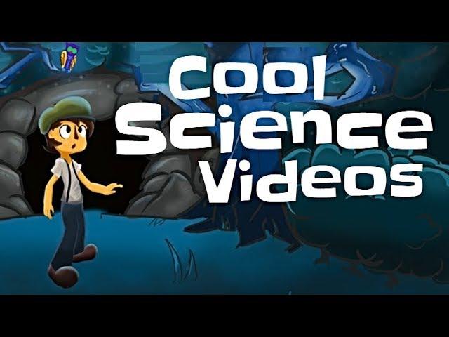 Cool Science Videos for Kids